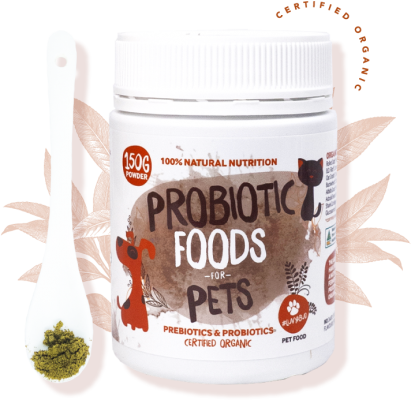 Probiotic Foods for Pets